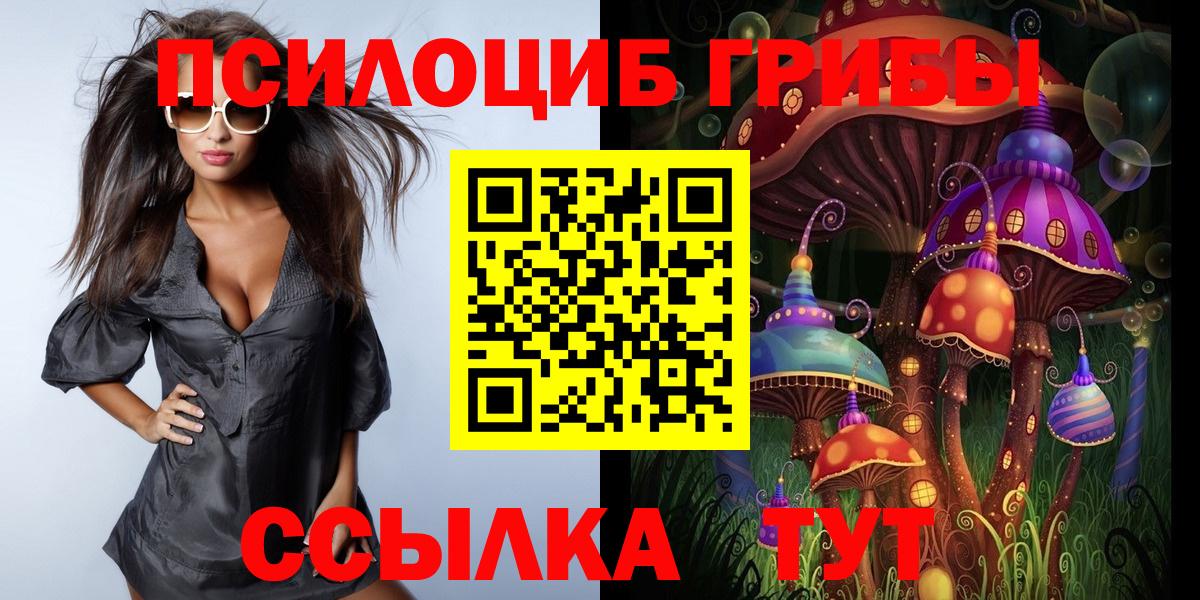 Гусиноозёрск  Галлюциногенные грибы GOLDEN TEACHER  закладки  Вход с VPN  Галлюциногенные грибы Psilocybine cubensis 