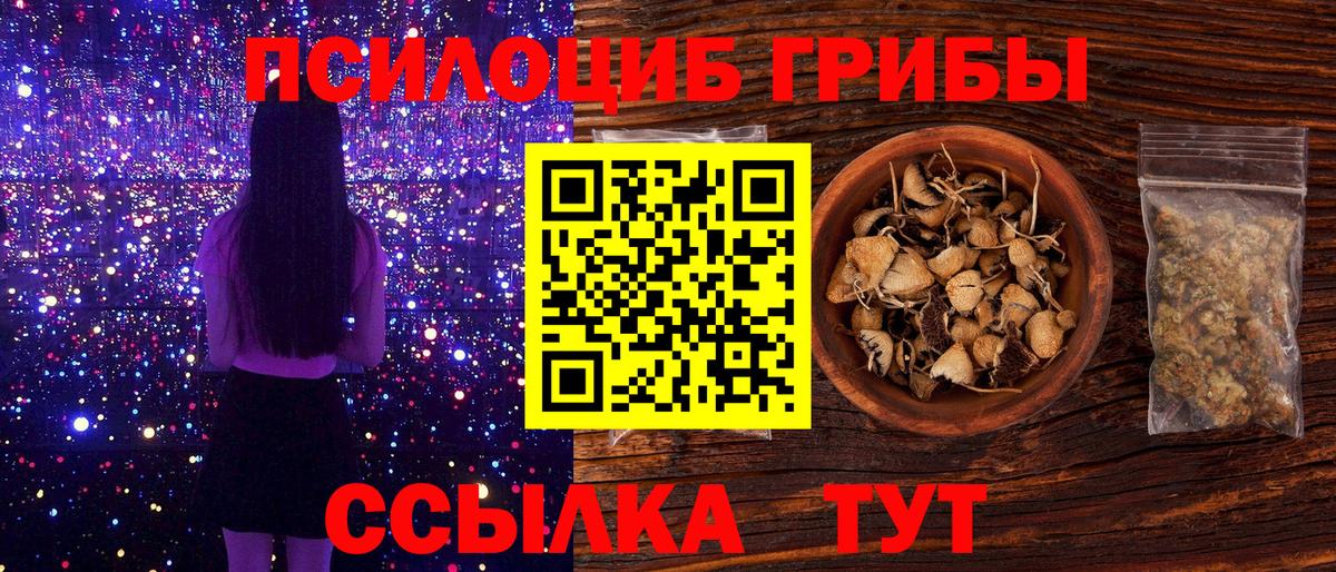 Галлюциногенные грибы Psilocybine cubensis Гусиноозёрск